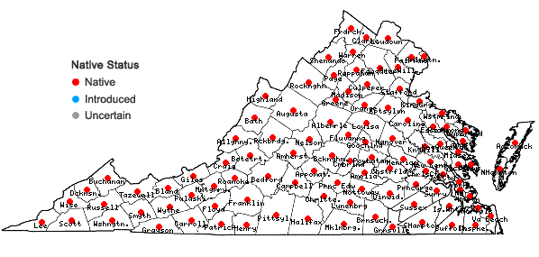 Locations ofAcer rubrum L. in Virginia