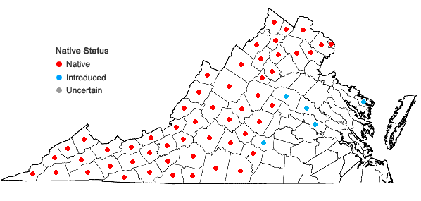 Locations ofAcer saccharum Marshall in Virginia