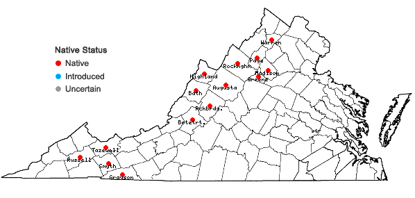Locations ofAconitum reclinatum Gray in Virginia