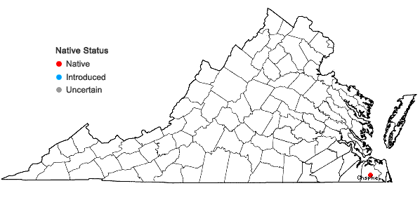 Locations ofAgalinis fasciculata (Ell.) Raf. in Virginia