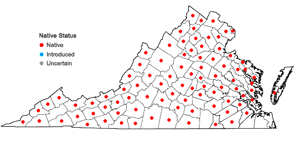 Locations ofAgeratina altissima (L.) King & H.E. Robins.  in Virginia