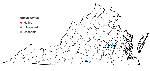 Locations ofAmaranthus arenicola I.M. Johnston in Virginia