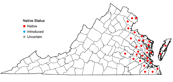 Locations ofAmaranthus cannabinus (L.) J.D. Sauer in Virginia