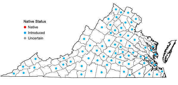 Locations ofAmaranthus spinosus L. in Virginia