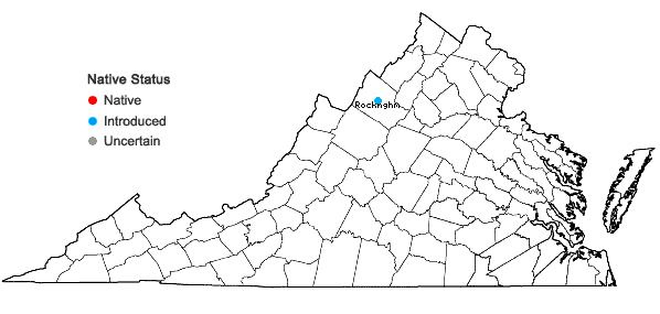 Locations ofAmaranthus tuberculatus (Moq.) Sauer in Virginia
