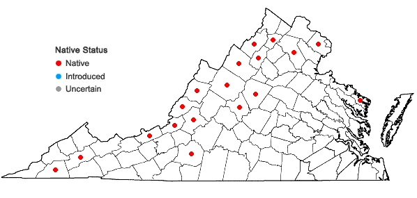 Locations ofAmelanchier sanguinea (Pursh) DC. in Virginia