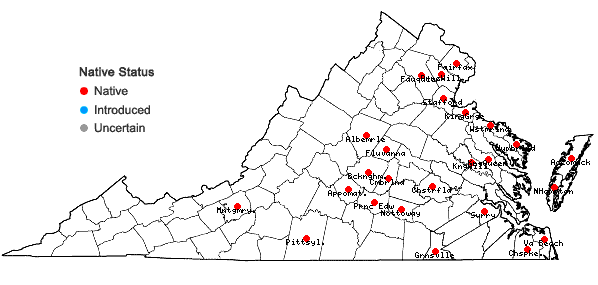 Locations ofAmorpha fruticosa L. in Virginia