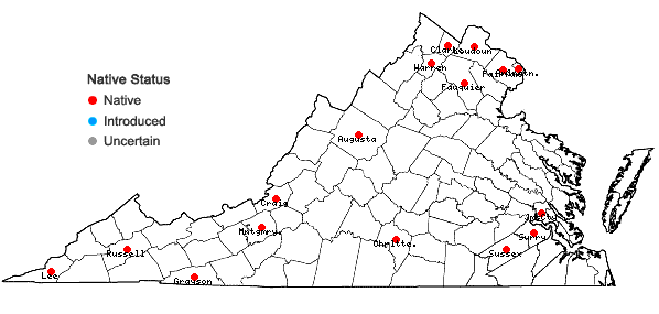 Locations ofAmphicarpaea bracteata (L.) Fern. var. comosa Fassett in Virginia
