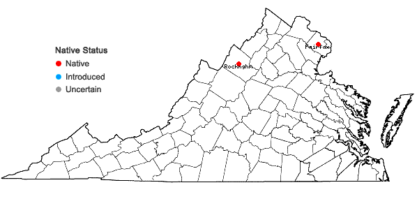 Locations ofAnemonastrum canadense (L.) Mosyakin in Virginia