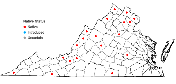 Locations ofApocynum floribundum Greene in Virginia