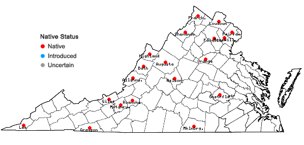 Locations ofApocynum floribundum Greene in Virginia
