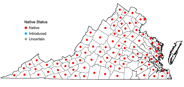 Locations ofAquilegia canadensis L. in Virginia
