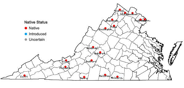 Locations ofBaptisia australis (L.) R. Brown in Virginia