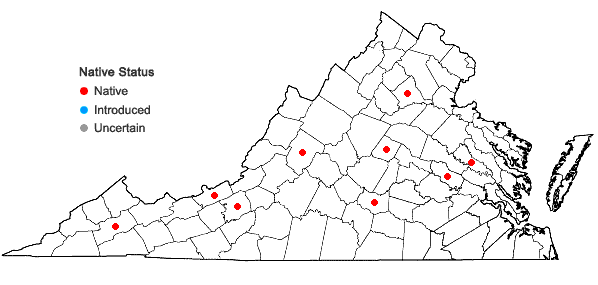 Locations ofBarbula convoluta Hedw. var. convoluta in Virginia