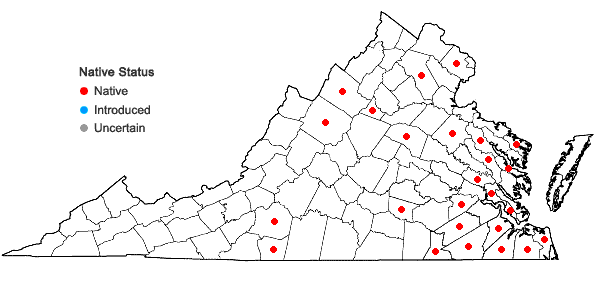 Locations ofBartonia paniculata (Michx.) Muhl. ssp. paniculata in Virginia