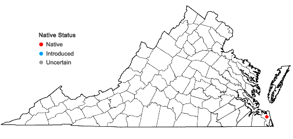 Locations ofBartonia verna (Michx.) Raf. ex Bart. in Virginia