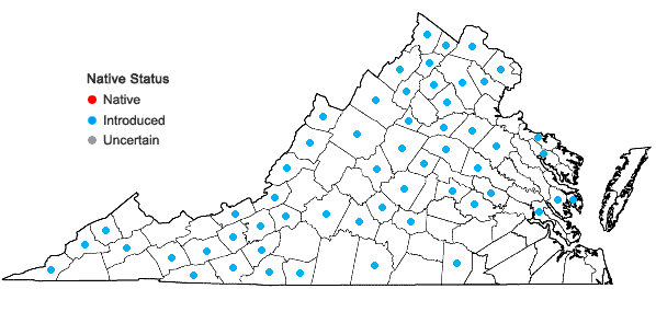 Locations ofBerberis thunbergii DC in Virginia
