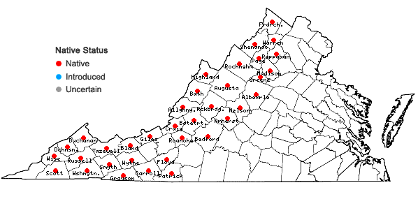 Locations ofBetula alleghaniensis Britt. in Virginia