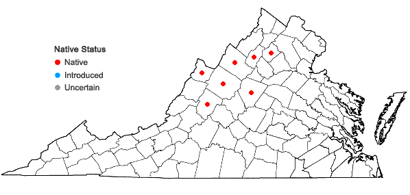 Locations ofBetula papyrifera Marshall in Virginia