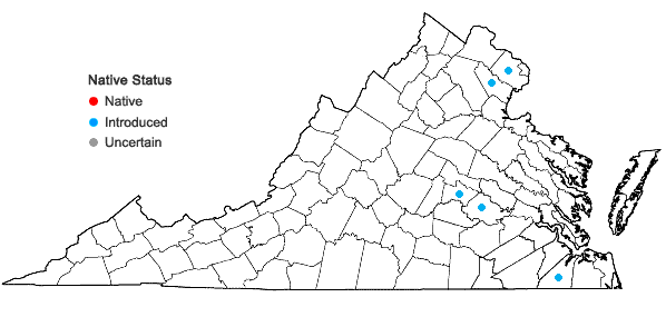 Locations ofBidens pilosa L. in Virginia
