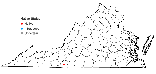 Locations ofBlindia acuta (Hedwig) Bruch & Schimper in Virginia