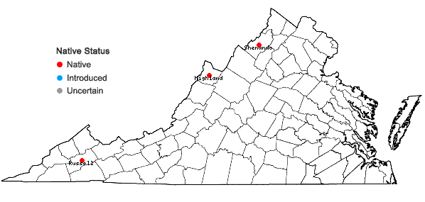 Locations ofBorodinia burkii (Porter) P.J. Alexander & Windham in Virginia