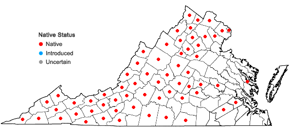 Locations ofBorodinia canadensis (L.) P.J. Alexander & Windham in Virginia