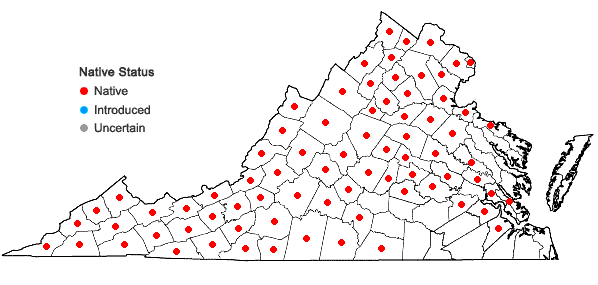 Locations ofBorodinia laevigata (Muhl. ex Willd.) P.J. Alexander & Windham in Virginia