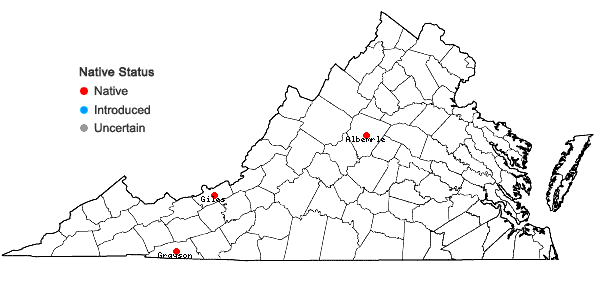 Locations ofBotrychium angustisegmentum (Pease & A.H. Moore) Fernald in Virginia