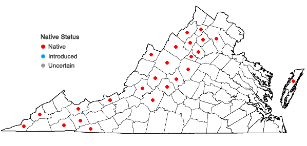 Locations ofBotrychium matricariifolium (Retz.) A.Braun ex W.D.J.Koch in Virginia