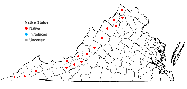 Locations ofBouteloua curtipendula (Michx.) Torr. var. curtipendula in Virginia