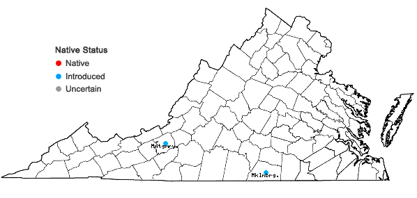 Locations ofBradburia pilosa (Nutt.) Semple in Virginia
