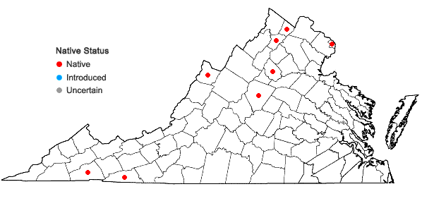 Locations ofBromus ciliatus L. in Virginia
