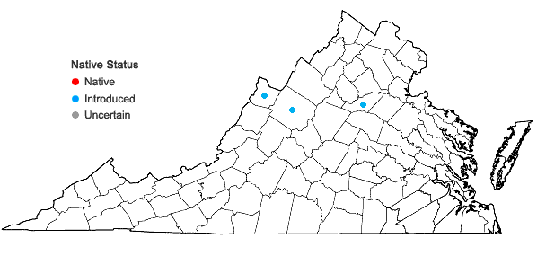 Locations ofBromus erectus Huds. in Virginia