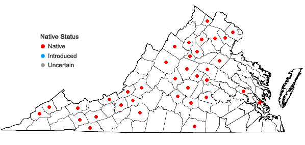 Locations ofBryhnia novae-angliae (Sull. & Lesq.) Grout in Virginia