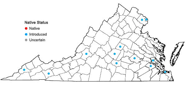 Locations ofBuddleja davidii Franch. in Virginia