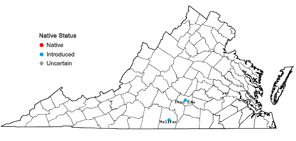 Locations ofBunias orientalis Linnaeus in Virginia