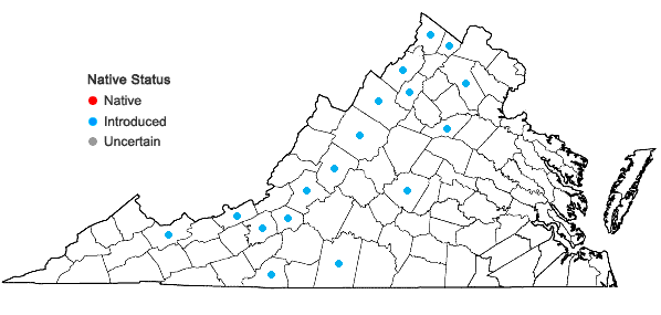 Locations ofBupleurum rotundifolium L. in Virginia