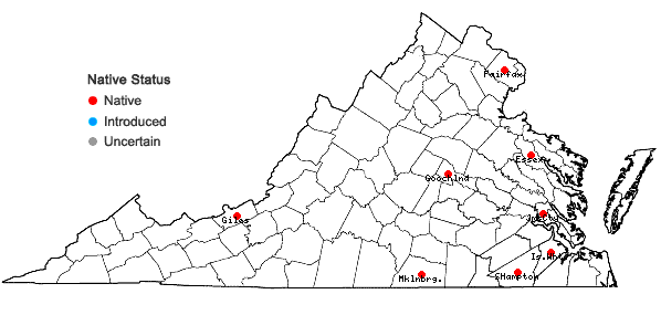Locations ofBuxbaumia aphylla Hedwig in Virginia