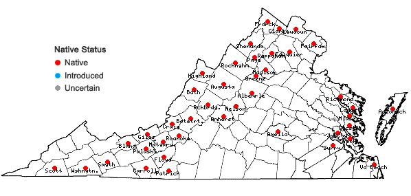 Locations ofCaltha palustris L. in Virginia