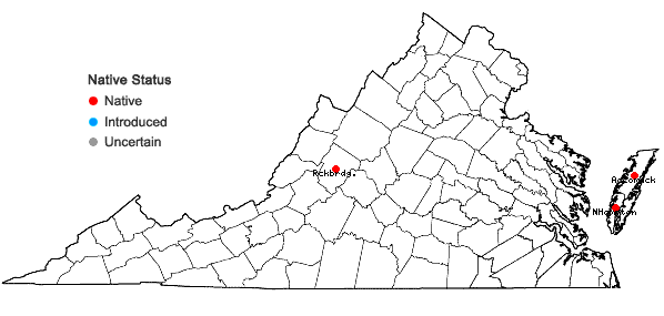 Locations ofCalypogeia peruviana Nees et Mont. in Virginia