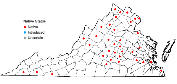 Locations ofCalystegia silvatica (Kit.) Griesb.  ssp. fraterniflora (Mackenzie & Bush) Brummitt in Virginia