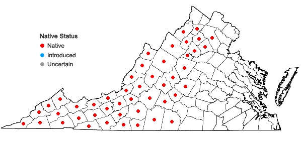 Locations ofCampanula divaricata Michx. in Virginia