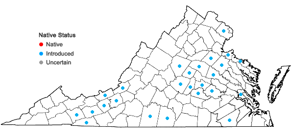 Locations ofCardamine occulta Hornem. in Virginia