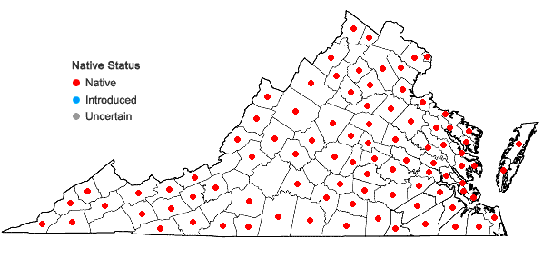 Locations ofCarex albicans complex in Virginia