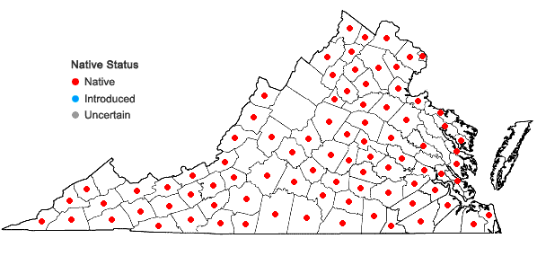 Locations ofCarex amphibola complex in Virginia