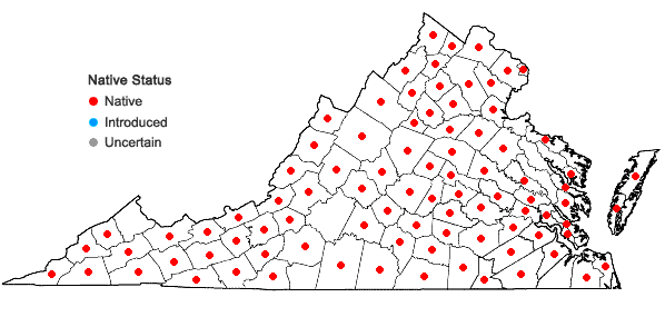 Locations ofCarex blanda Dewey in Virginia
