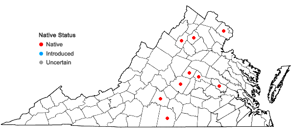 Locations ofCarex brevior (Dewey) Mackenzie ex Lunell in Virginia