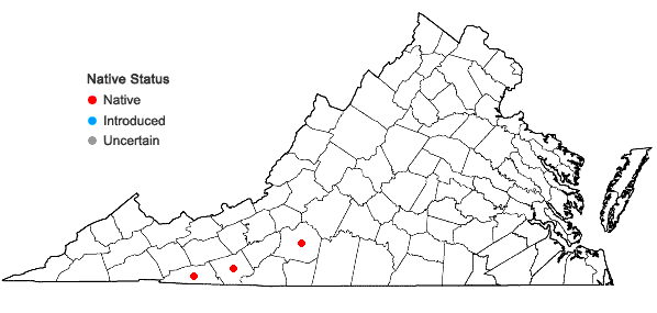 Locations ofCarex bullata Schk. ex Willd. var. bullata in Virginia