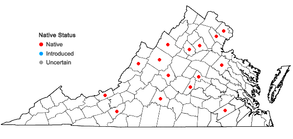 Locations ofCarex buxbaumii Wahlenb. in Virginia